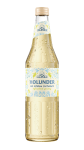 alaska_rendering_holunder_1000px